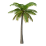https://idoshopalms.com/wp-content/uploads/2024/04/b2bdc561f67208e3f413f2266bbbd47b.png